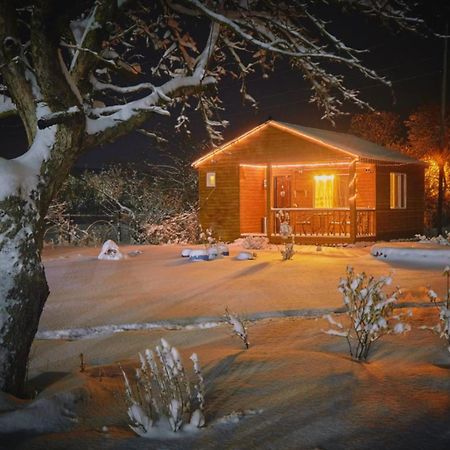 Family Hotel Maia - Cемейная Гостиница Майя Dashbashi Eksteriør bilde