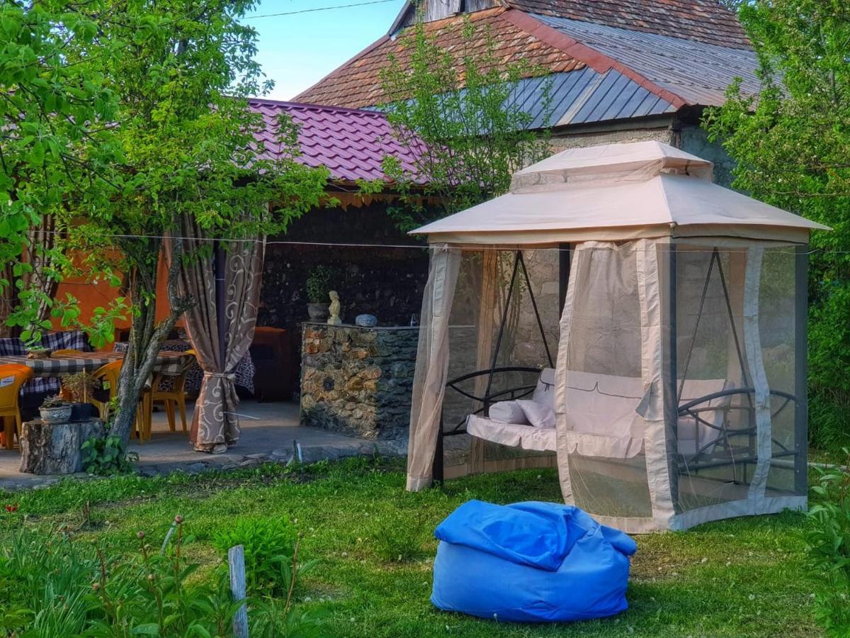 Family Hotel Maia - Cемейная Гостиница Майя Dashbashi Eksteriør bilde