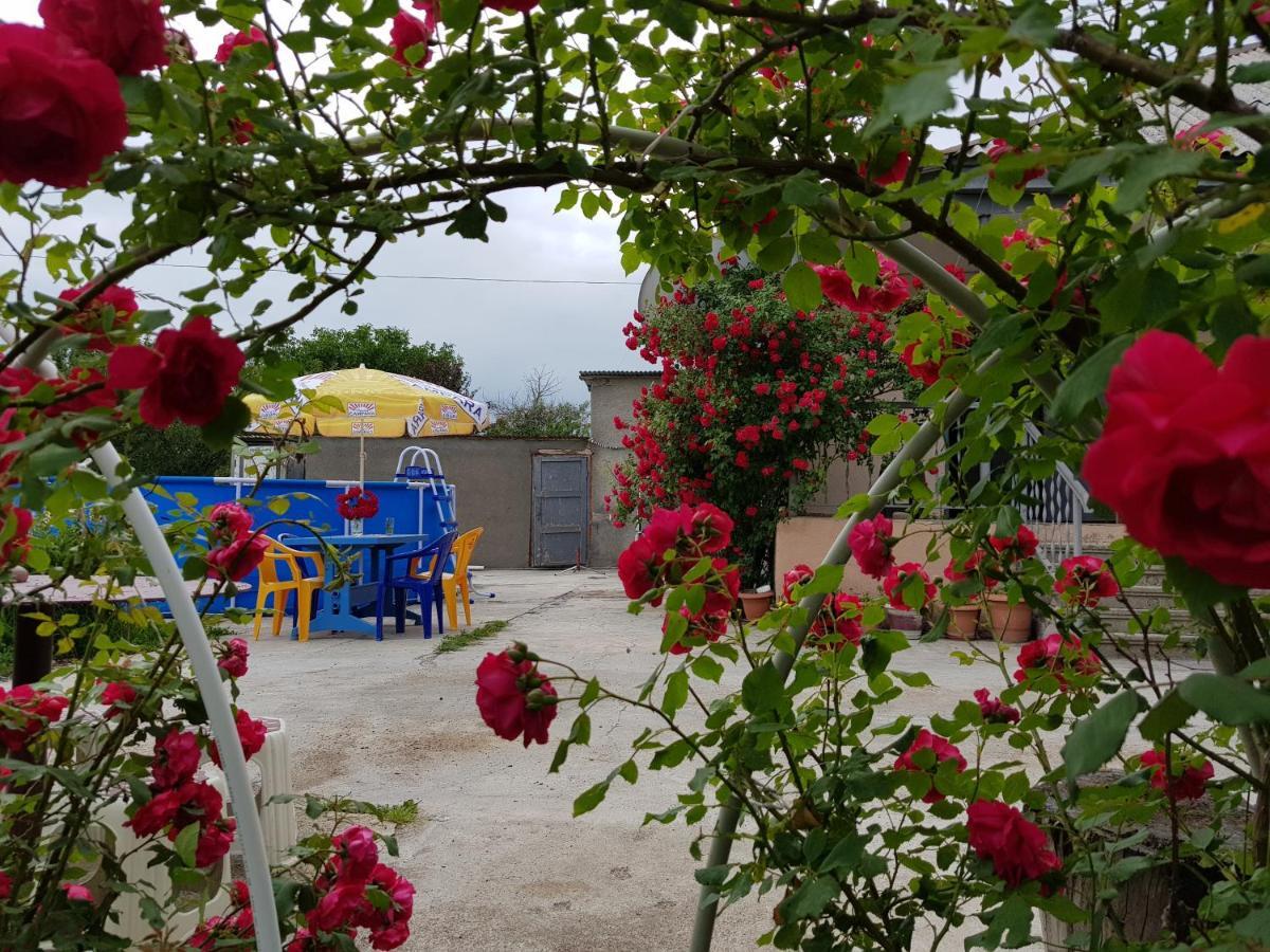Family Hotel Maia - Cемейная Гостиница Майя Dashbashi Eksteriør bilde